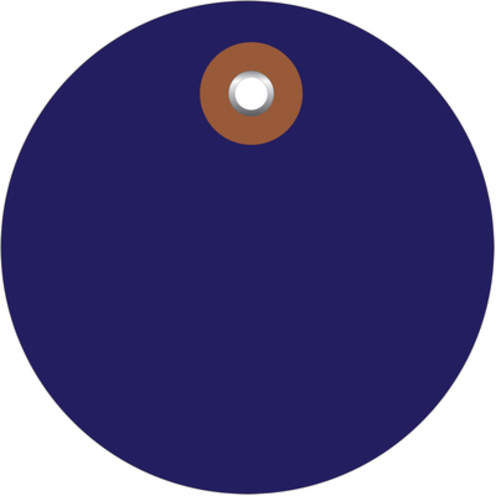 3in. Blue Plastic Circle Tags 100/CS, Model# G26076
